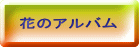 花のアルバム